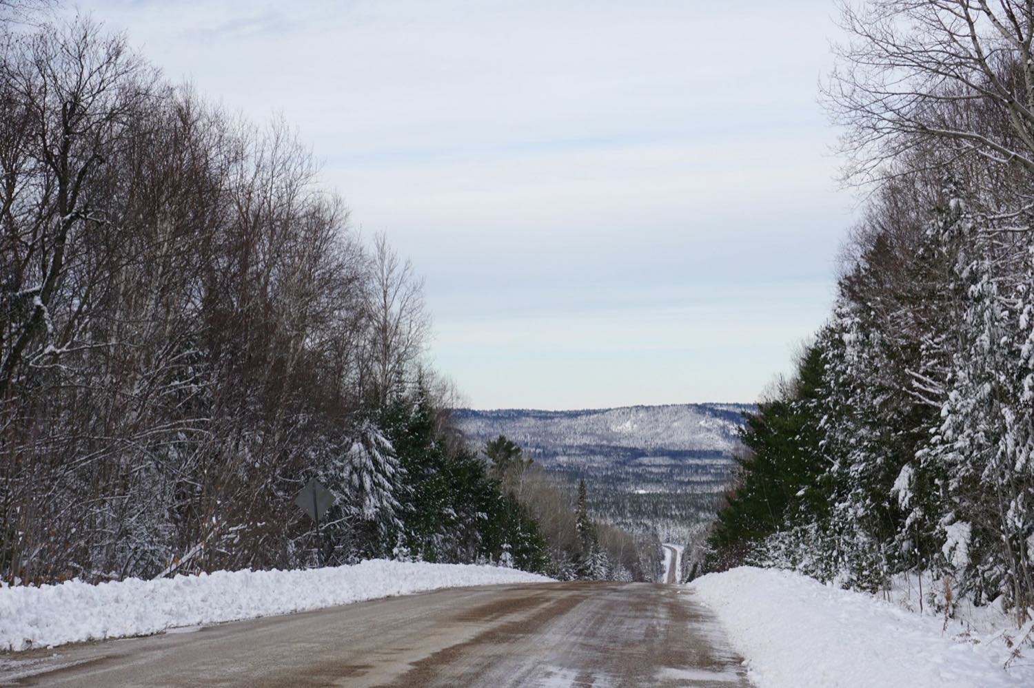 A snow-banked road climbing between winter forest towards low forested hills under a pale sky
